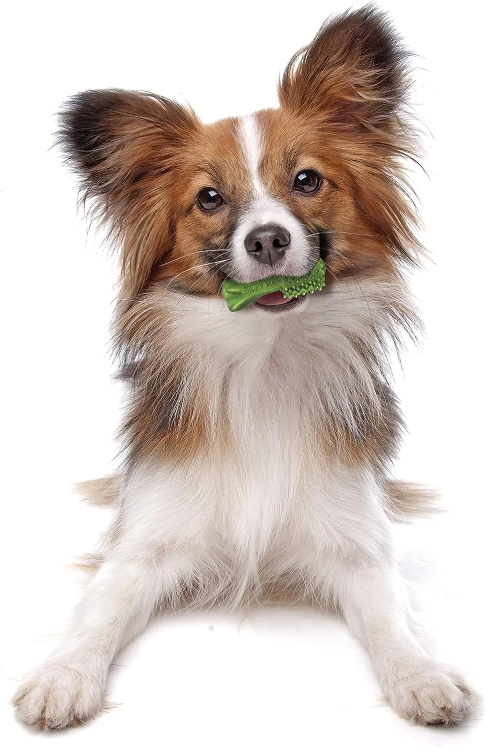 Nylabone Nutri Dent Dog Dental Chews, Natural Teeth Cleaning Treats & Breath Freshener for Dogs, Fresh Mint Flavor, Mini (78 Count)