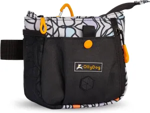 OllyDog Backcountry Day Bag | Hands-Free Dog Training Treat Pouch | Fanny/Hip Pack with Zipper Closure & Built-in Poop Bag Dispenser | Removable Waist Clip (Bloom)