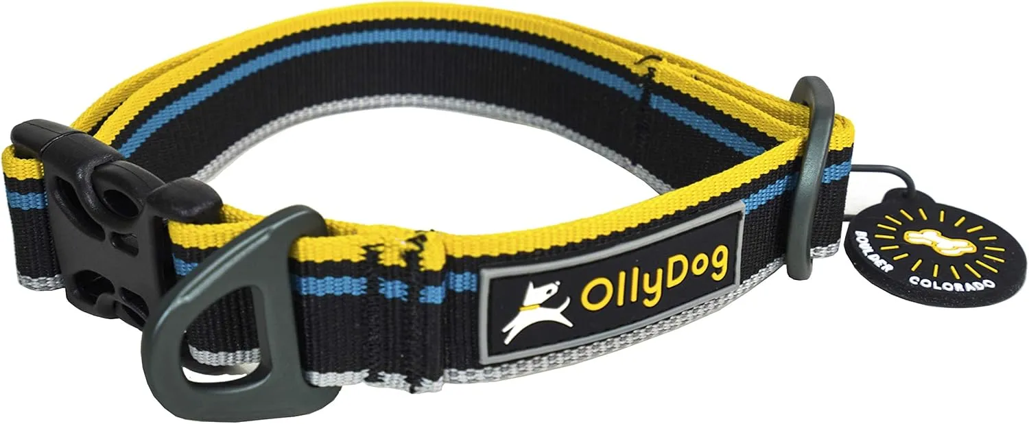 OllyDog Urban Journey Reflective Dog Collar with Sturdy Buckle, Lightweight Training Collar for Large, Medium and Small Dogs (Large, Anthracite)