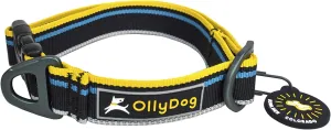 OllyDog Urban Journey Reflective Dog Collar with Sturdy Buckle, Lightweight Training Collar for Large, Medium and Small Dogs (Large, Anthracite)