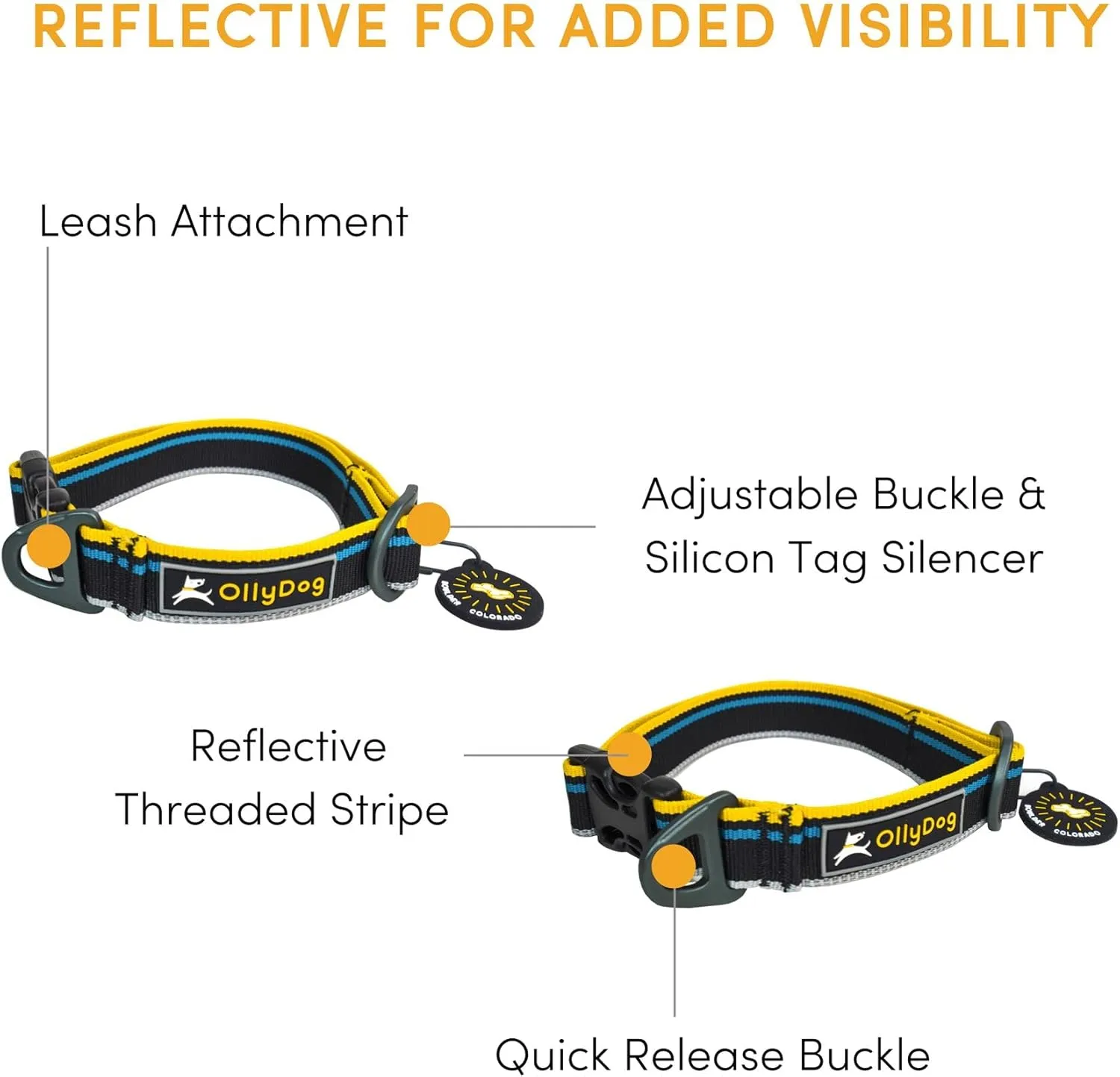 OllyDog Urban Journey Reflective Dog Collar with Sturdy Buckle, Lightweight Training Collar for Large, Medium and Small Dogs (Large, Anthracite)
