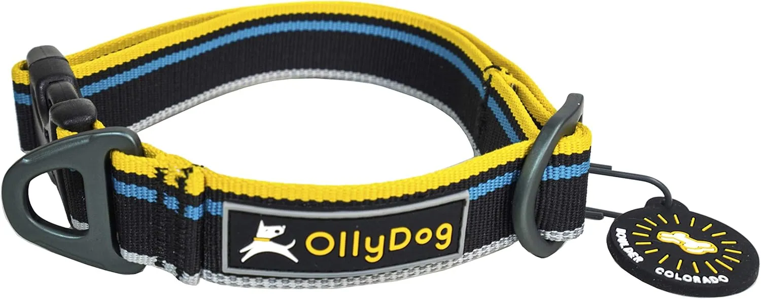OllyDog Urban Journey Reflective Dog Collar with Sturdy Buckle, Lightweight Training Collar for Large, Medium and Small Dogs (Large, Anthracite)