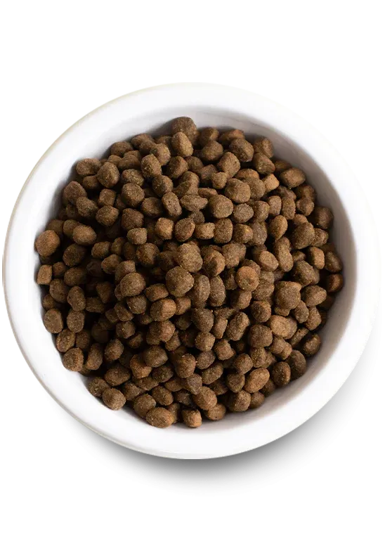 Open Farm - Grain Free Senior Recipe - Dry Dog Food