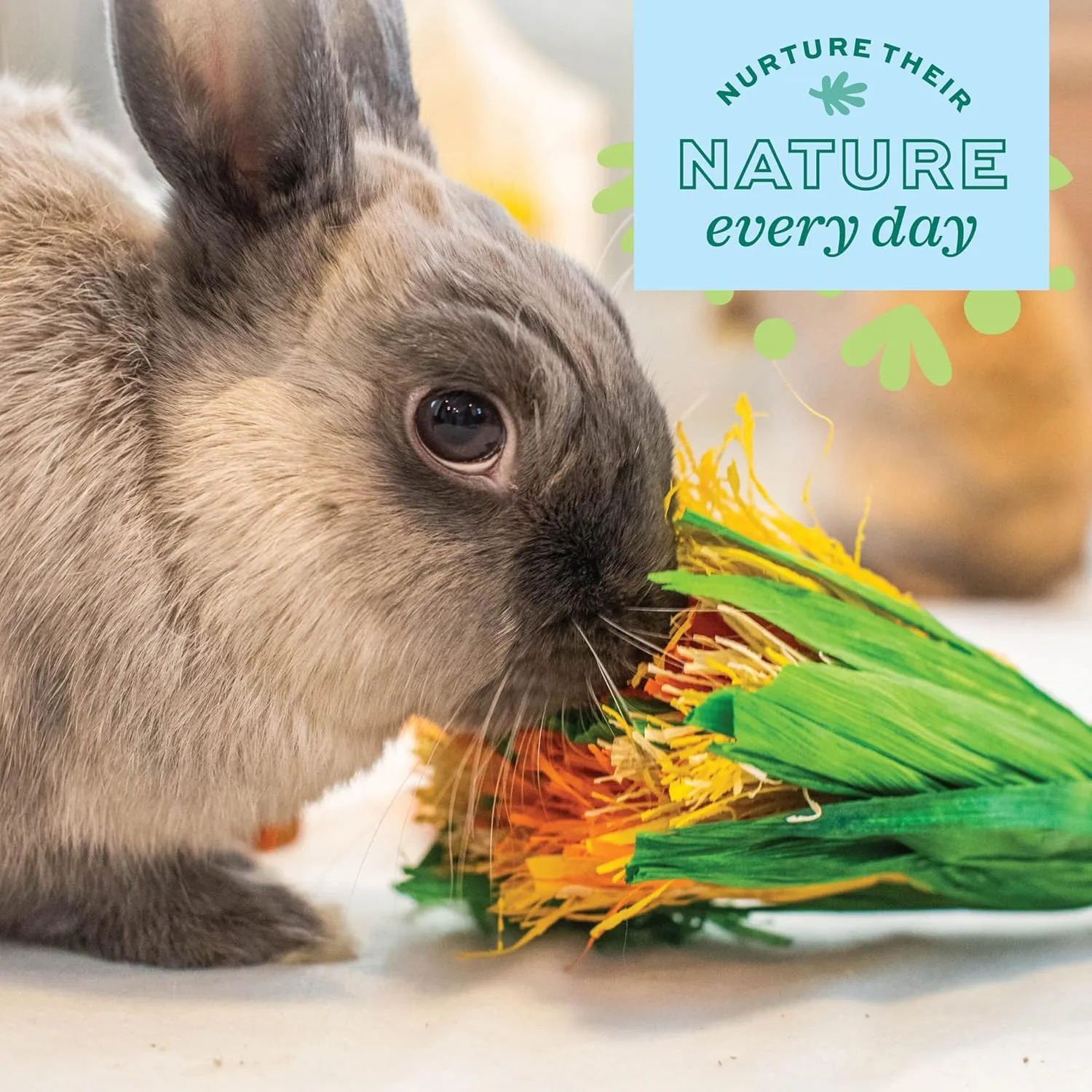 Oxbow Enriched Life Celebration Bouquet, Rabbit Toys, Guinea Pig Toys, Enrichment for Bunny, Hamster, Rabbit, Chinchilla, Rat, Chinchilla Cage Accessories, Guinea Pig Accessories for Cage