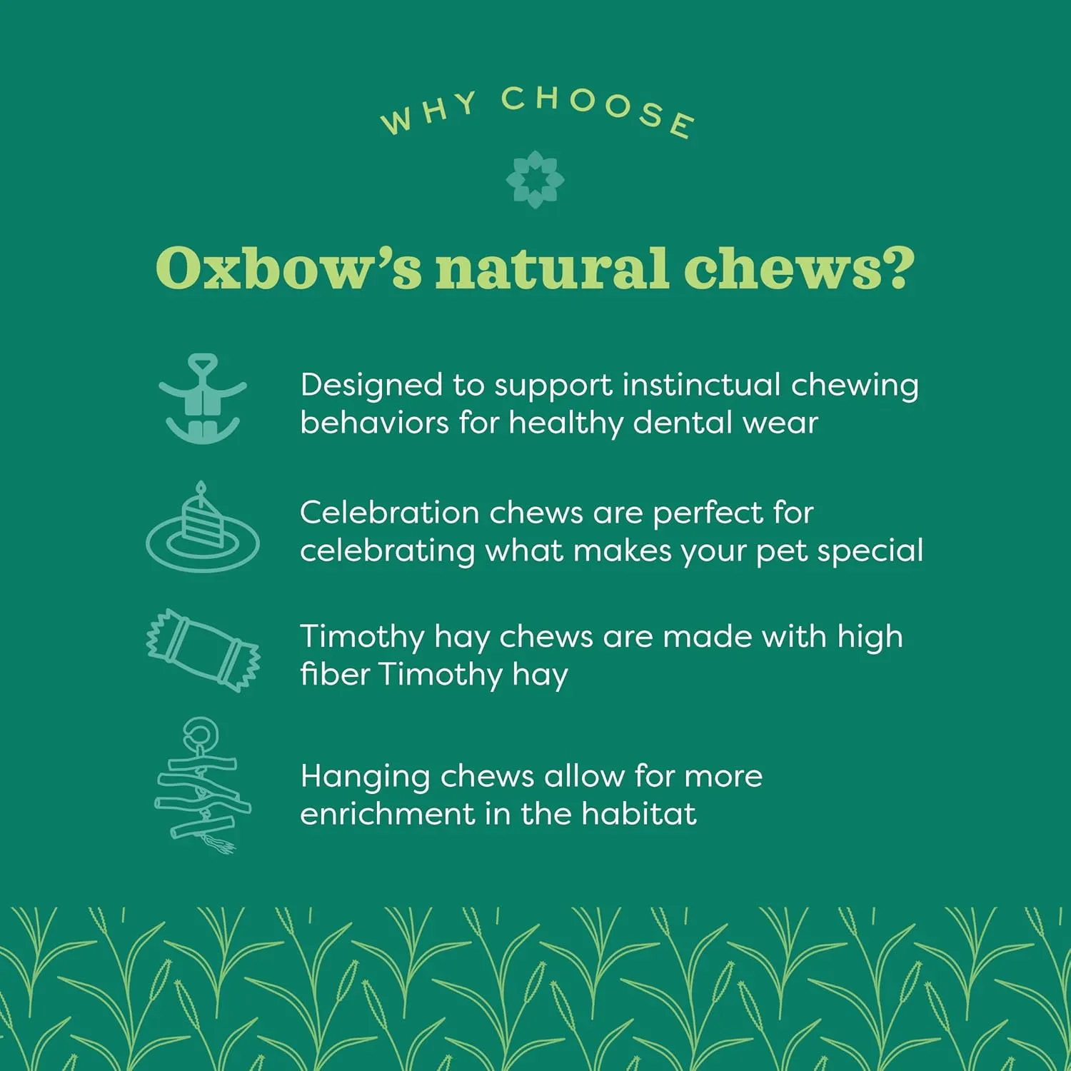 Oxbow Enriched Life Celebration Bouquet, Rabbit Toys, Guinea Pig Toys, Enrichment for Bunny, Hamster, Rabbit, Chinchilla, Rat, Chinchilla Cage Accessories, Guinea Pig Accessories for Cage
