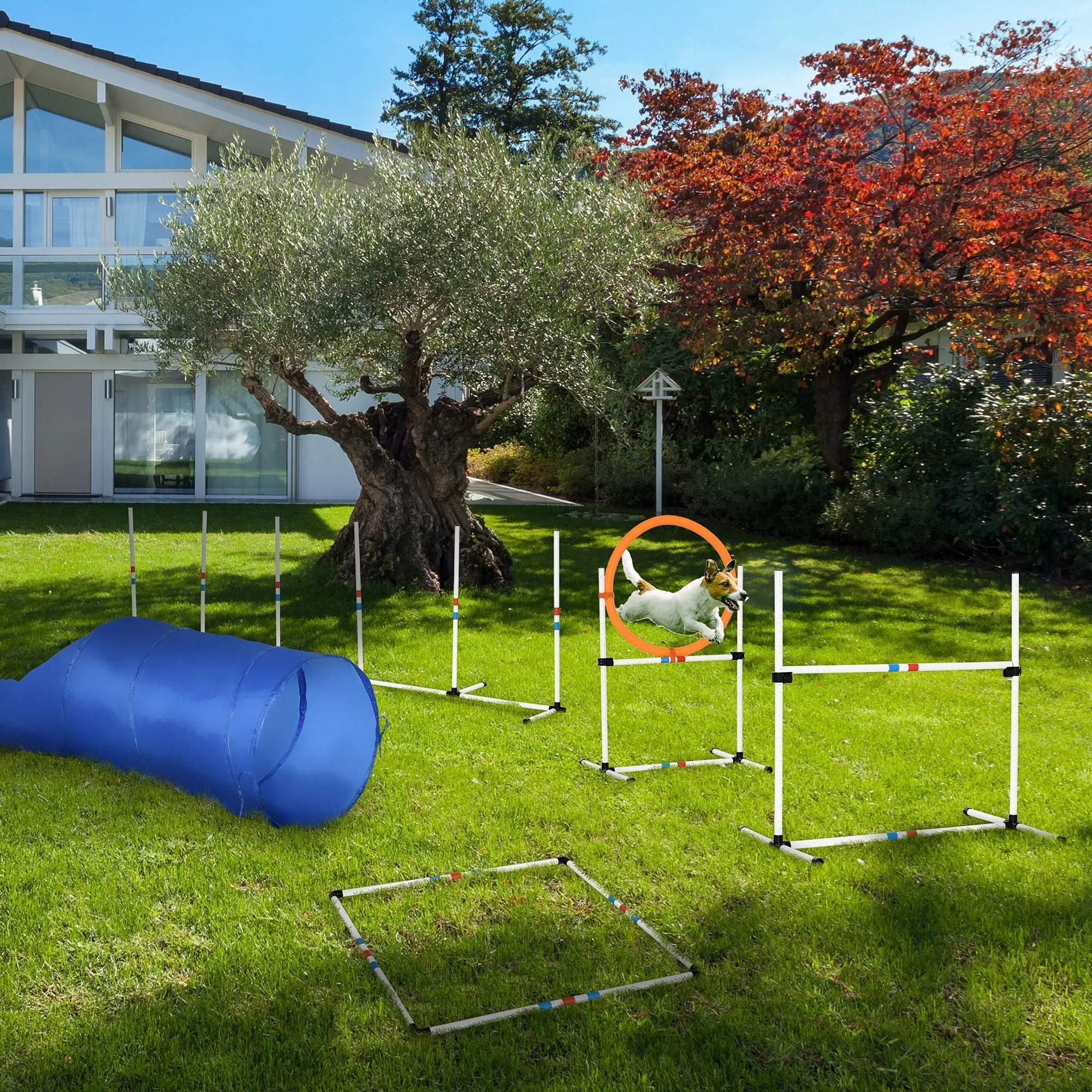 PawHut Dog Agility Equipment Training Set Carry Bag Adjustable (Pole   Hoop   Hurdle Tunnel   Pause Box)