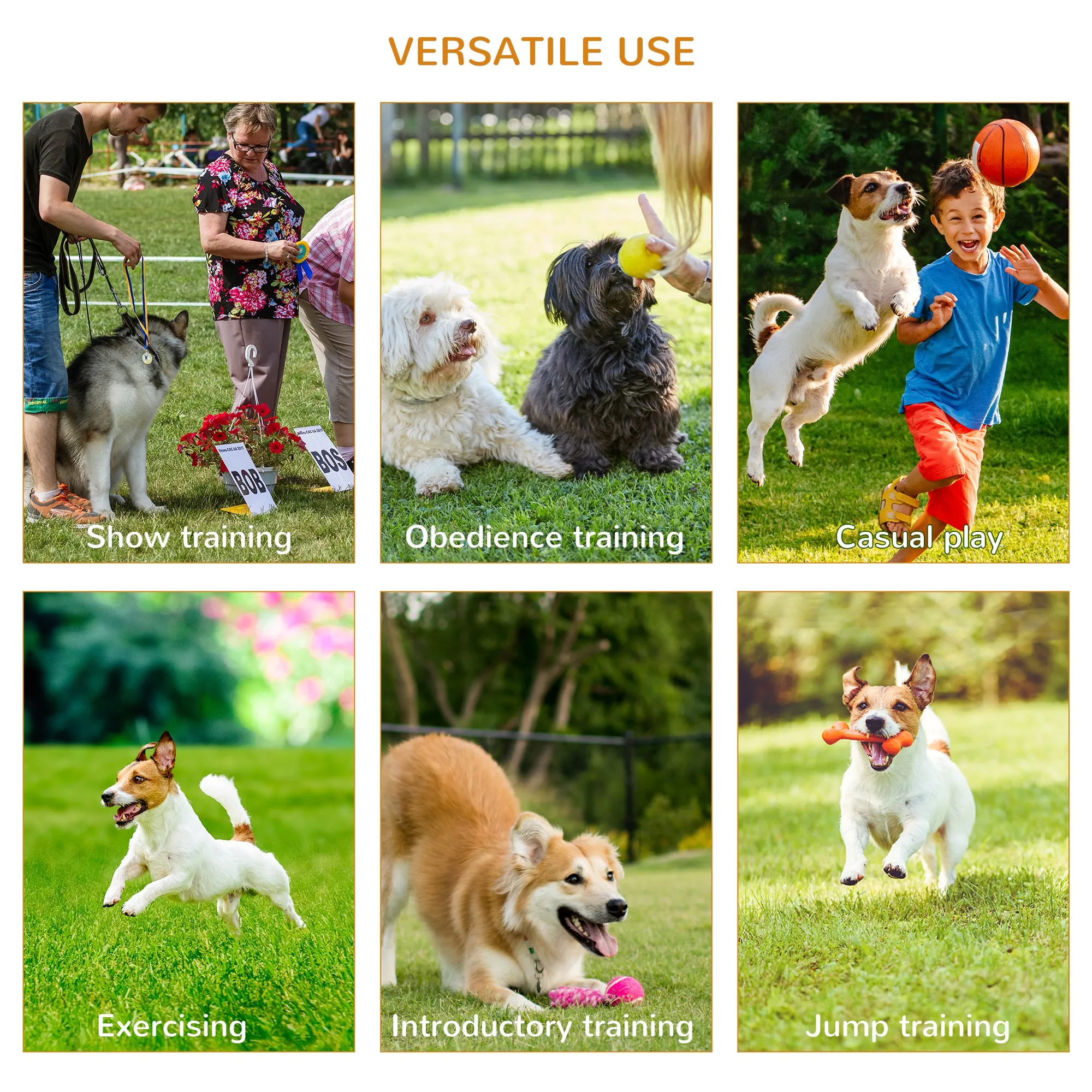 PawHut Outdoor 4 PC Dog Pet Agility Training Garden Starter Obstacle Set for Dog