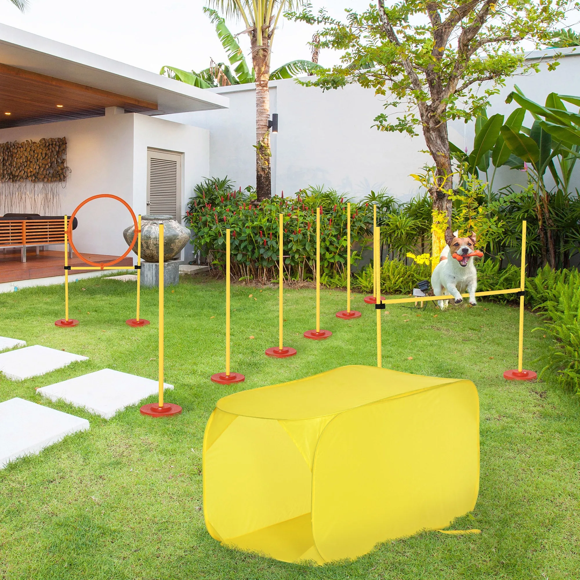 PawHut Outdoor 4 PC Dog Pet Agility Training Garden Starter Obstacle Set for Dog