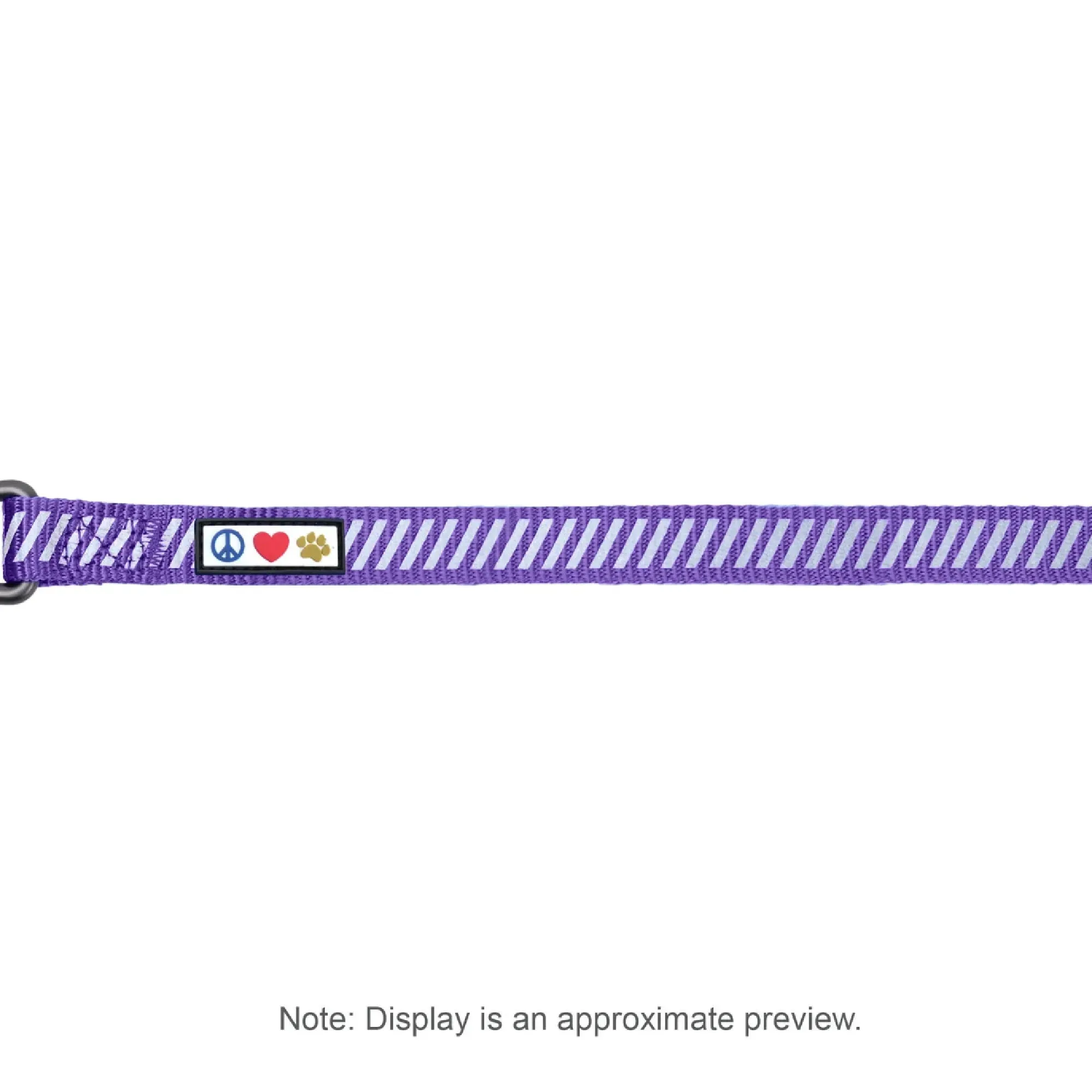 Personalized Traffic Reflective Dog Leash - 6-Ft