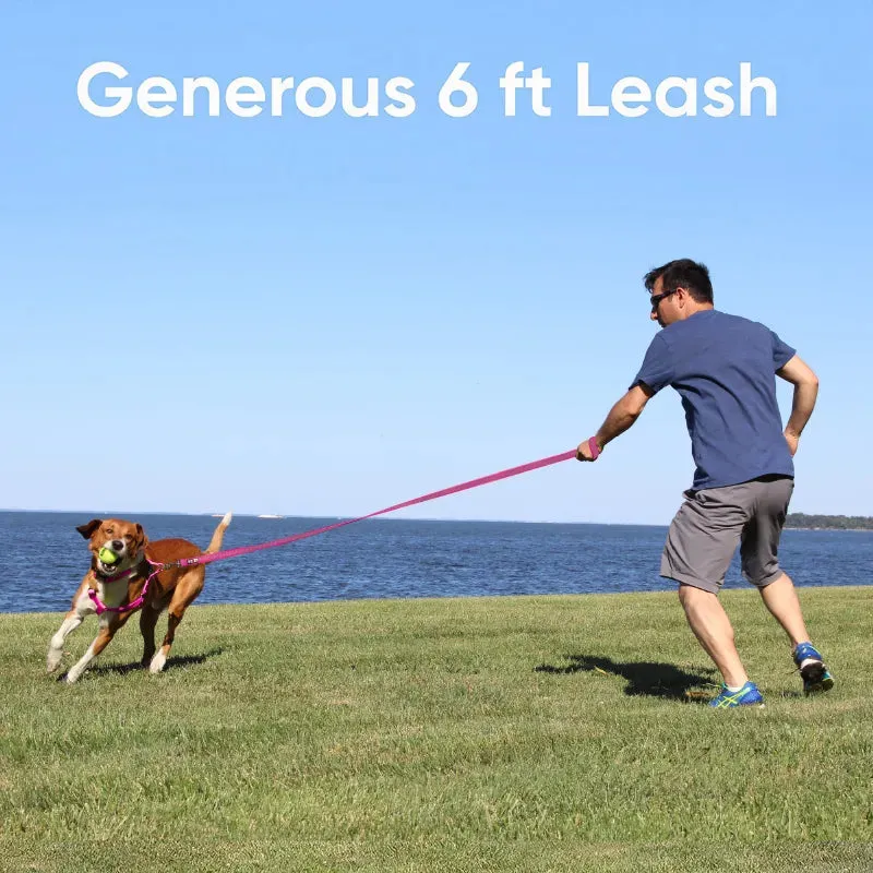 Personalized Traffic Reflective Dog Leash - 6-Ft
