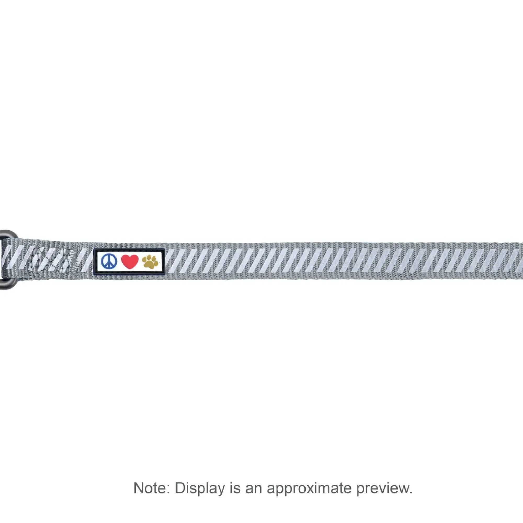 Personalized Traffic Reflective Dog Leash - 6-Ft