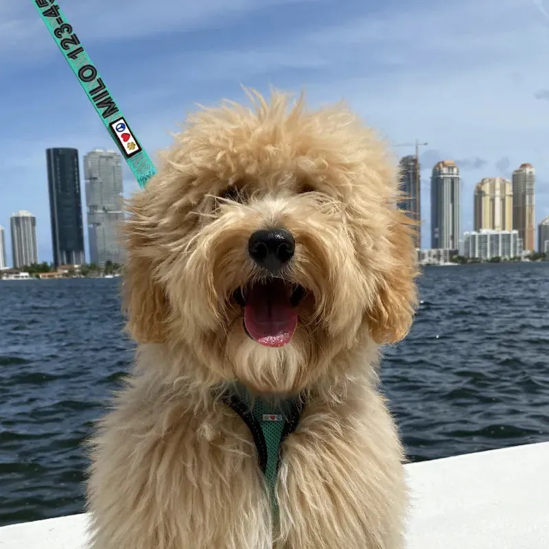 Personalized Traffic Reflective Dog Leash - 6-Ft