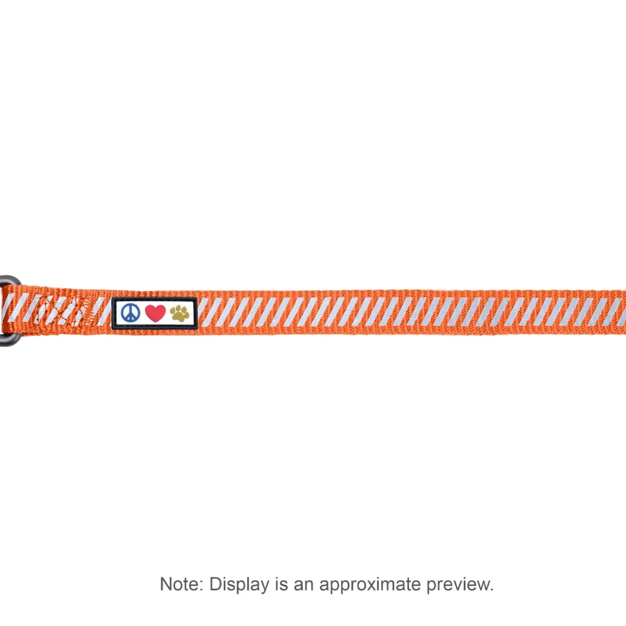 Personalized Traffic Reflective Dog Leash - 6-Ft