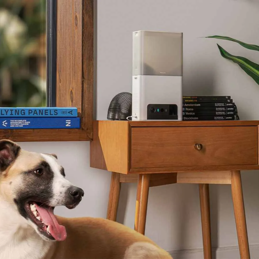 Petcube Bites 2 Lite Smart Hd Camera With Treat Dispenser