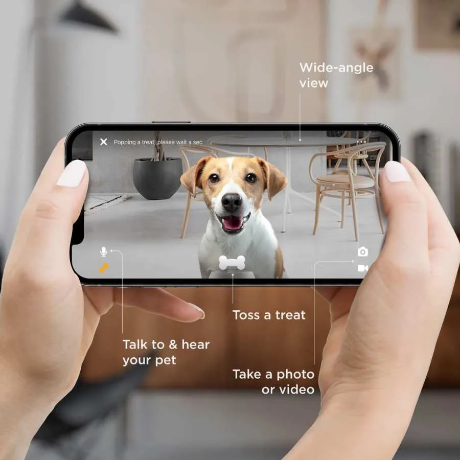 Petcube Bites 2 Lite Smart Hd Camera With Treat Dispenser