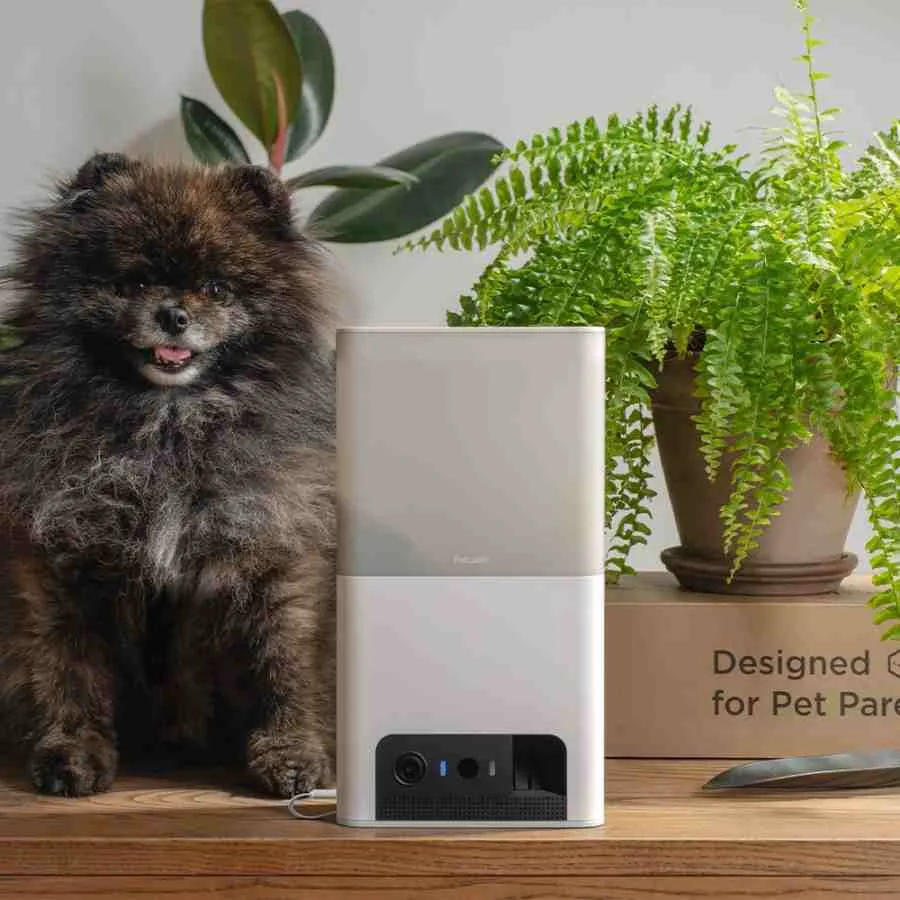 Petcube Bites 2 Lite Smart Hd Camera With Treat Dispenser