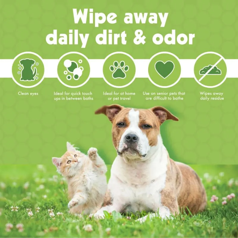 Petkin - Bamboo Eco Eye Wipes