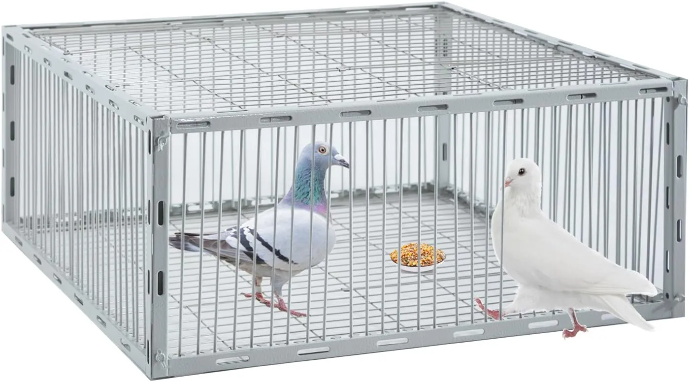 Pigeon Trap with Escape-Proof Design,Pigeon Cage with One-Way Entry,Ideal Pigeon Coop,Chicken and Bird Trap Cage,Portable & Easy Assembly,Unharmful Made of High-Strength Iron with Anti-Rust Paint