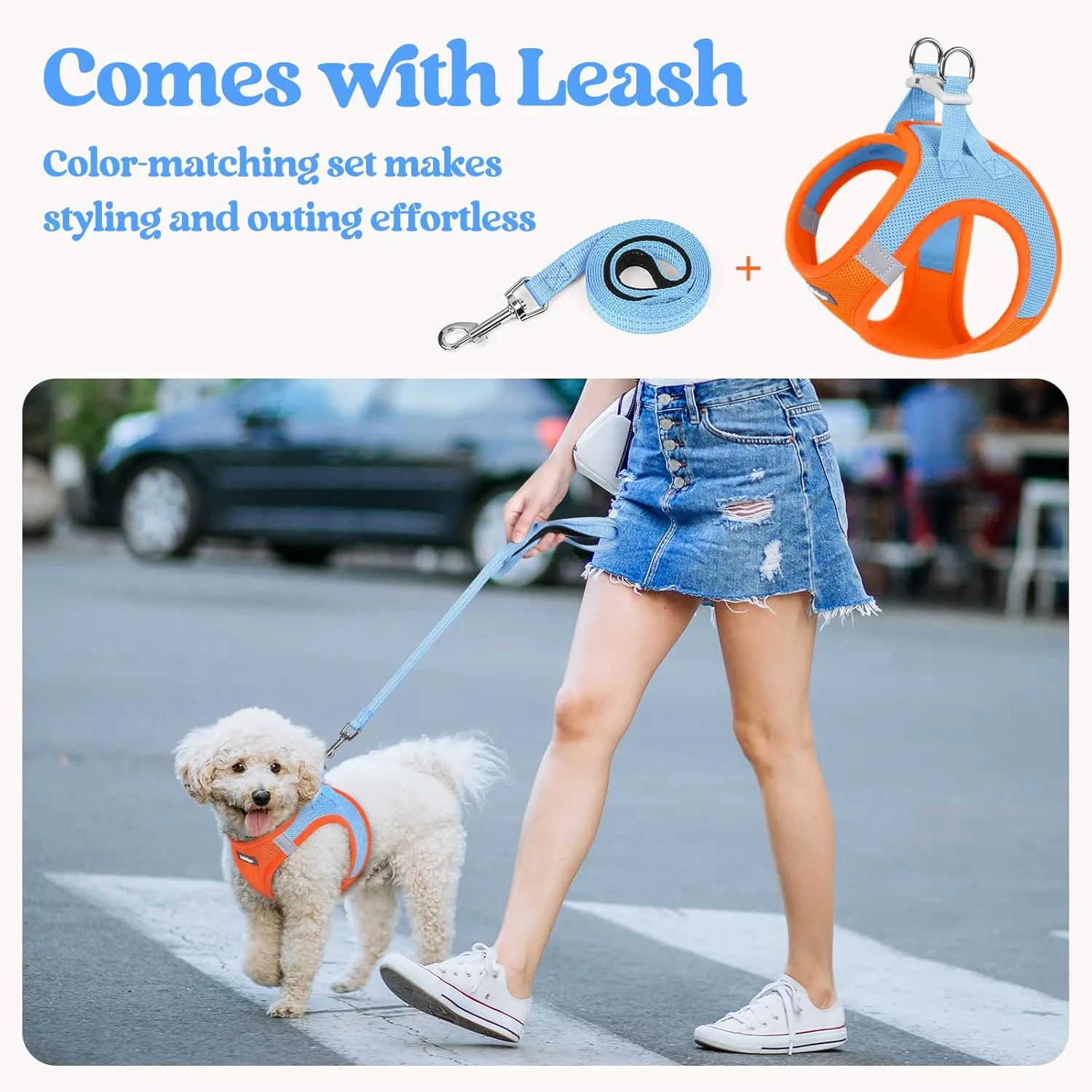 rabbitgoo Dog Harness Small Sized and Leash Set, Step in Soft Light Puppy Vest, Breathable Mesh Pet Harness, Reflective for Safe Easy Walking, Blue & Orange XXS