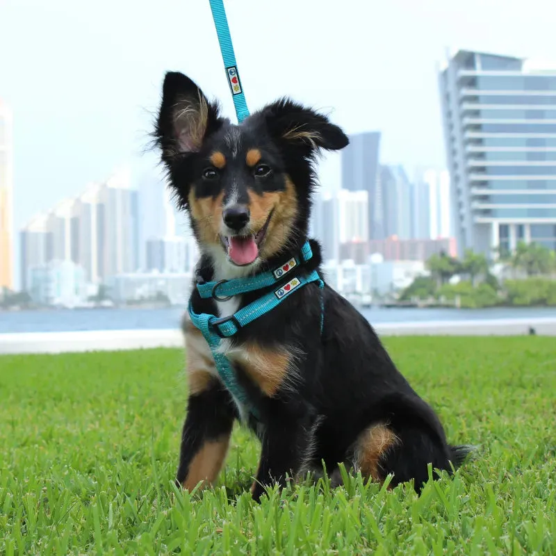 Recycled Reflective Dog Collar