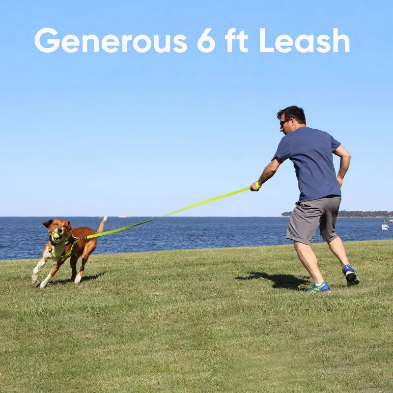 Reflective Dog Leash 6-FT