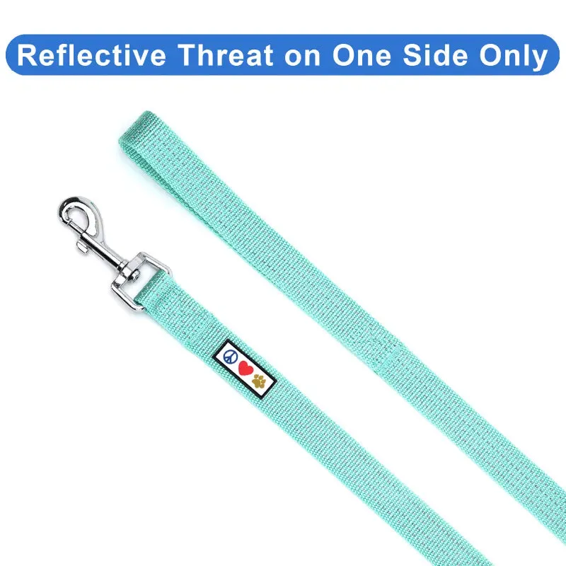 Reflective Dog Leash 6-FT