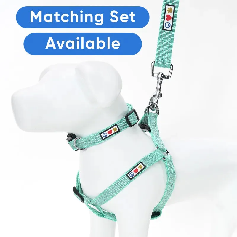 Reflective Dog Leash 6-FT
