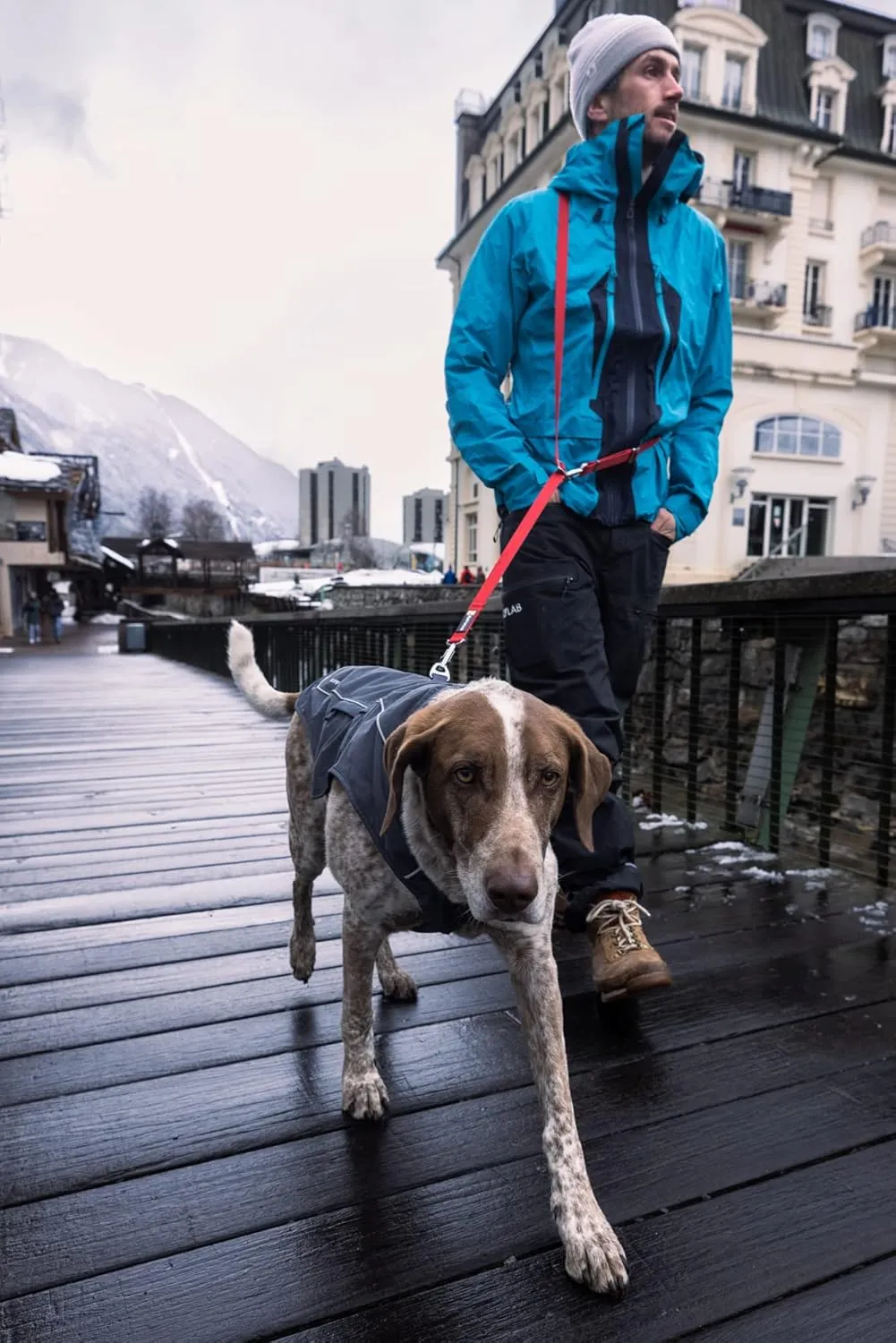 Ruffwear, Overcoat Fuse Jacket Harness Combo for Dogs, Basalt Gray, Large