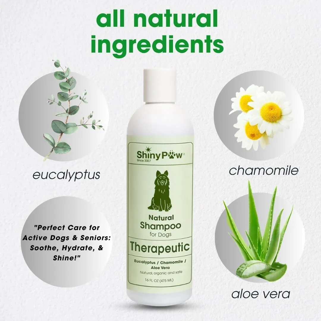 Shiny Paw Dog Shampoo Itchy Skin Relief 16 oz | Hypoallergenic Dog Wash | Eucalyptus, Chamomile & Aloe Vera | Dog Shampoo Sensitive Skin & Smelly Dogs | Made in USA