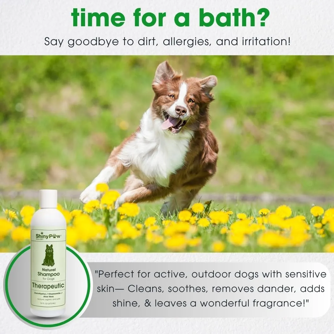 Shiny Paw Dog Shampoo Itchy Skin Relief 16 oz | Hypoallergenic Dog Wash | Eucalyptus, Chamomile & Aloe Vera | Dog Shampoo Sensitive Skin & Smelly Dogs | Made in USA