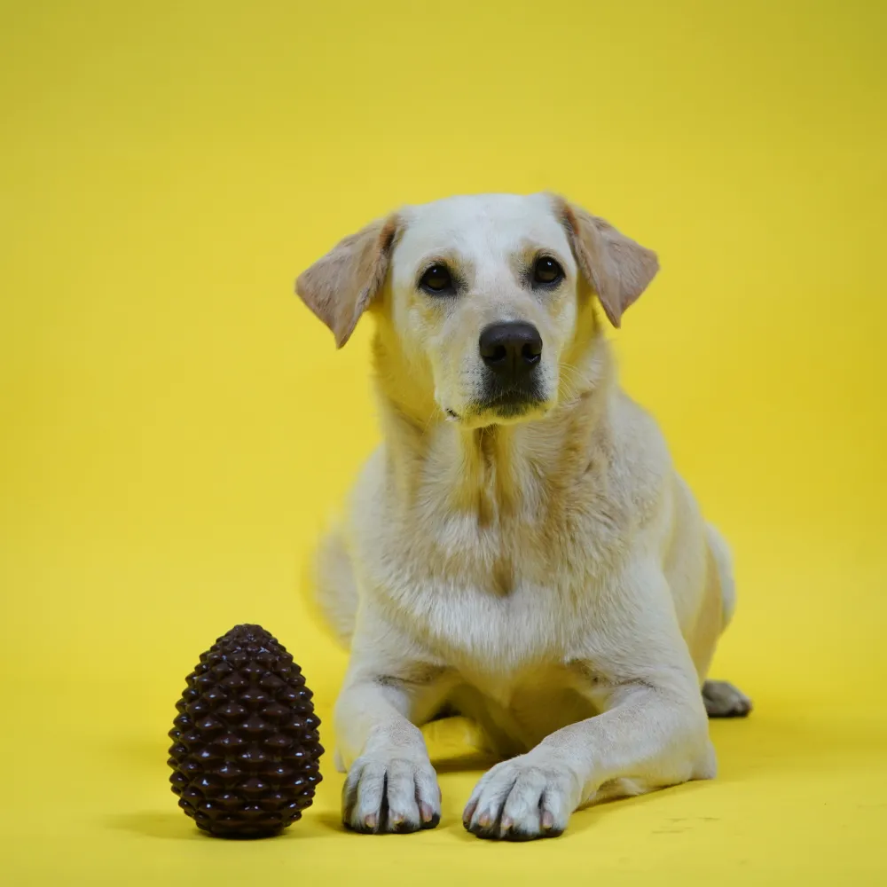 Skatrs Pinecone Treat Dispenser for Dogs (Brown)