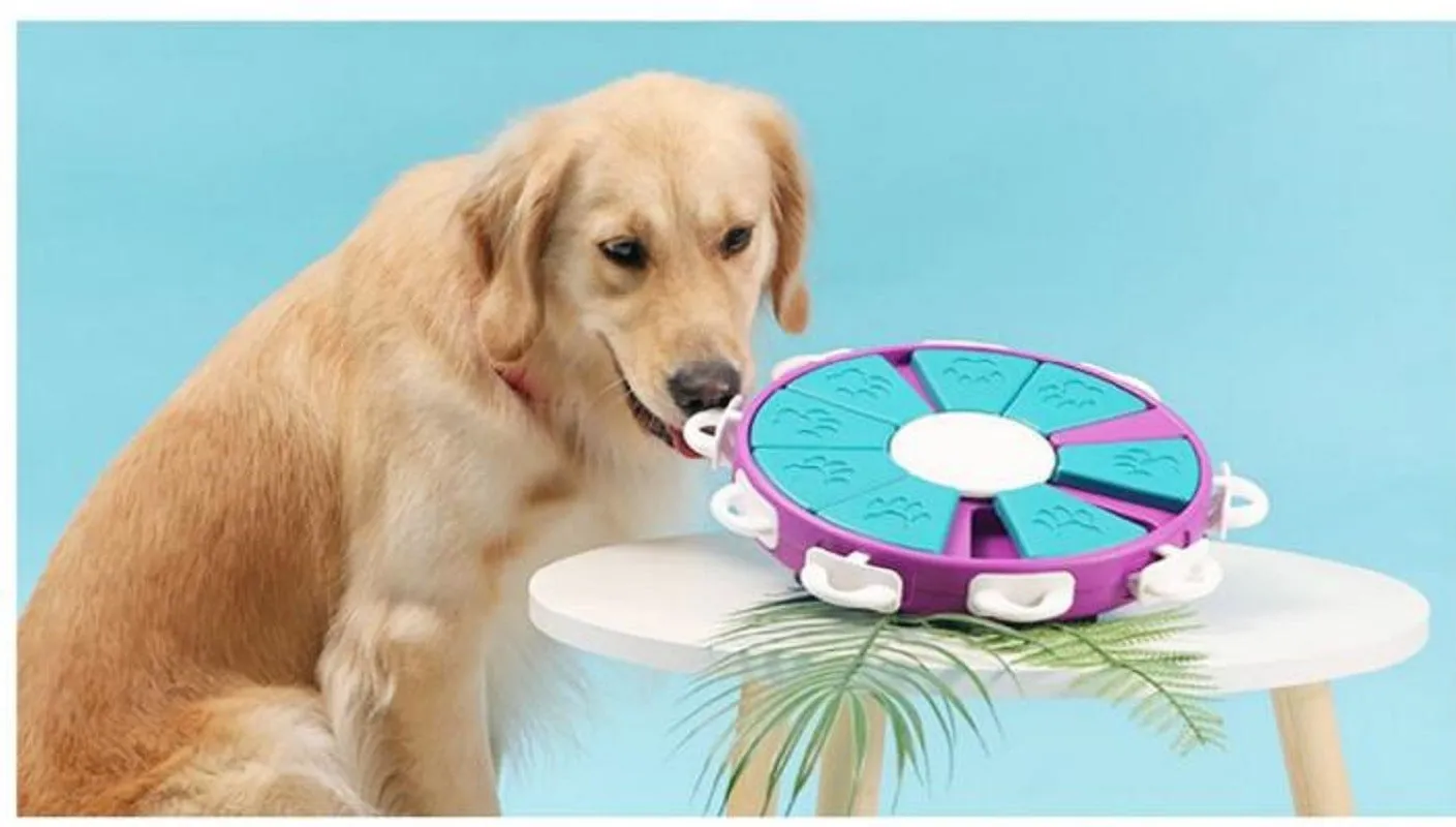 Smart Dog Interactive Training Treat Puzzle