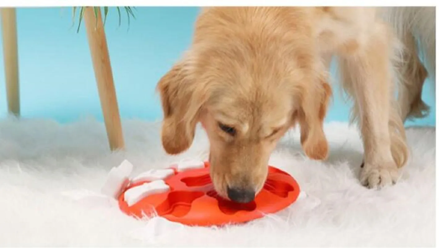 Smart Dog Interactive Training Treat Puzzle