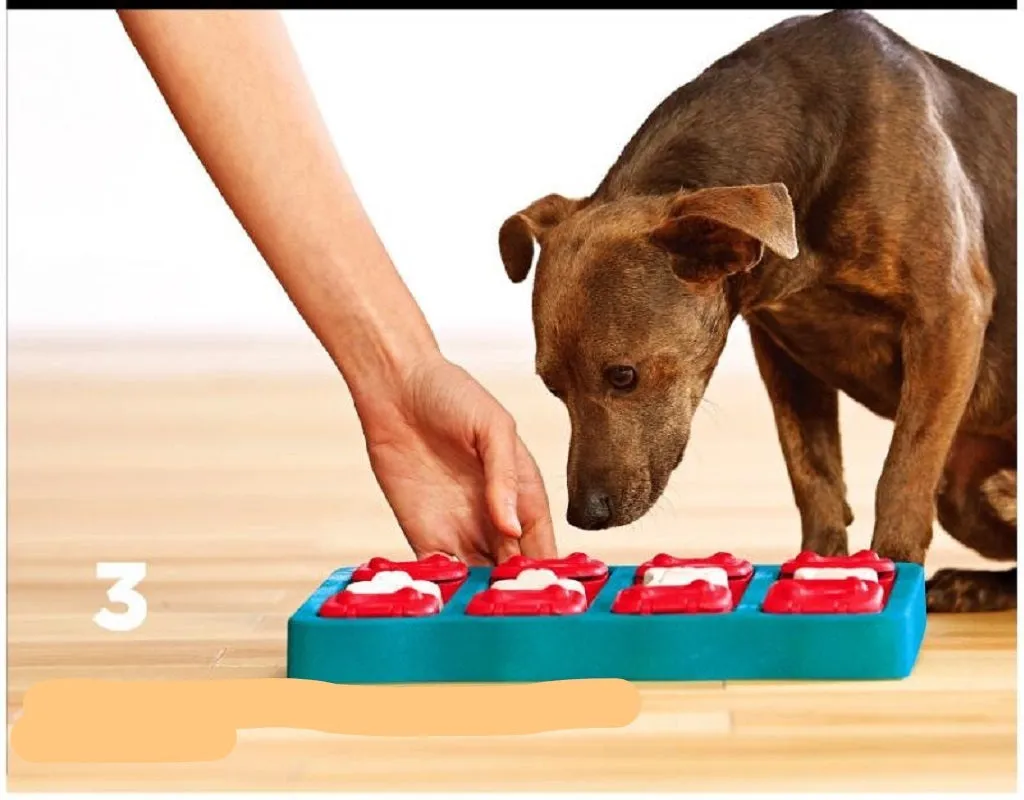 Smart Dog Interactive Training Treat Puzzle