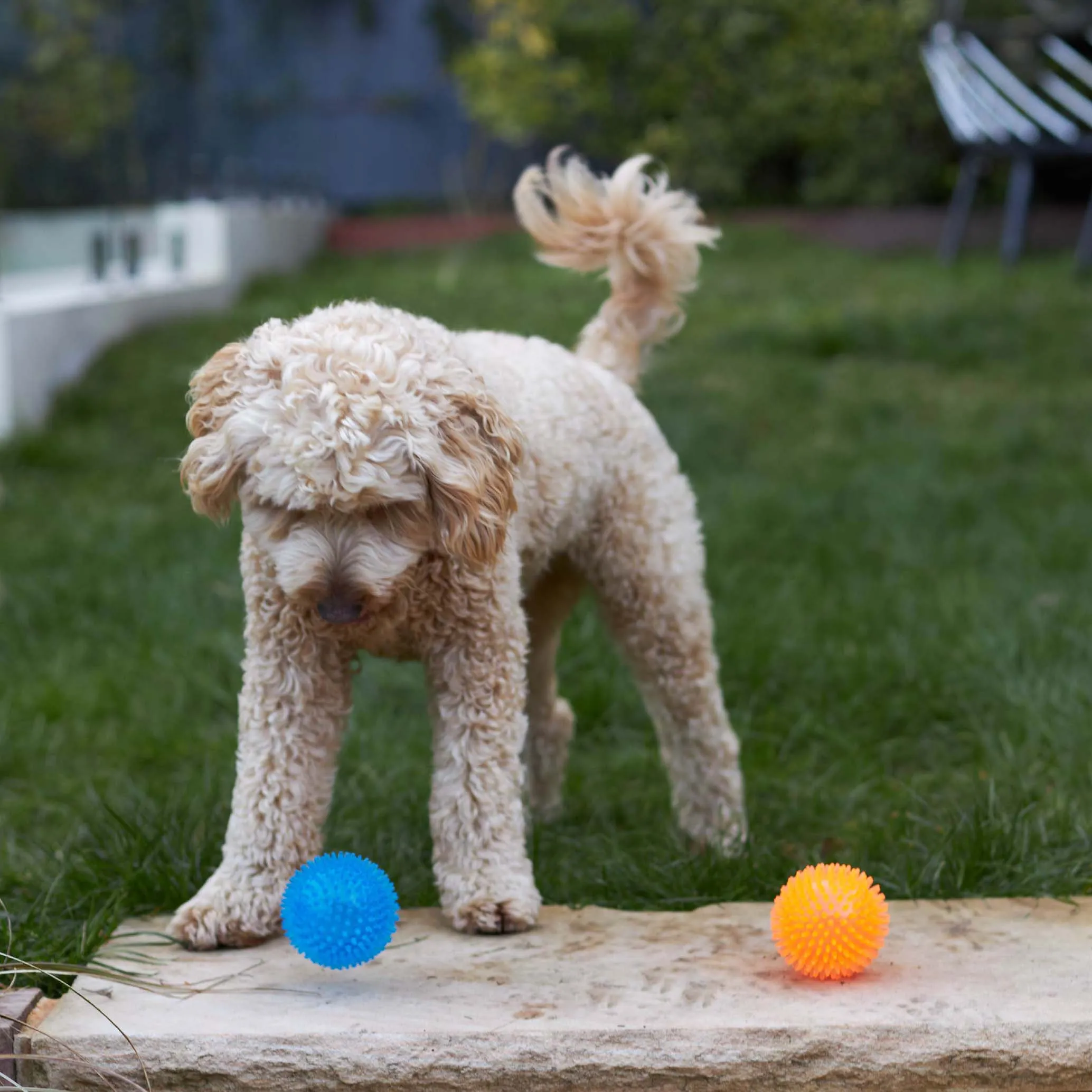 Squeaky Space Balls