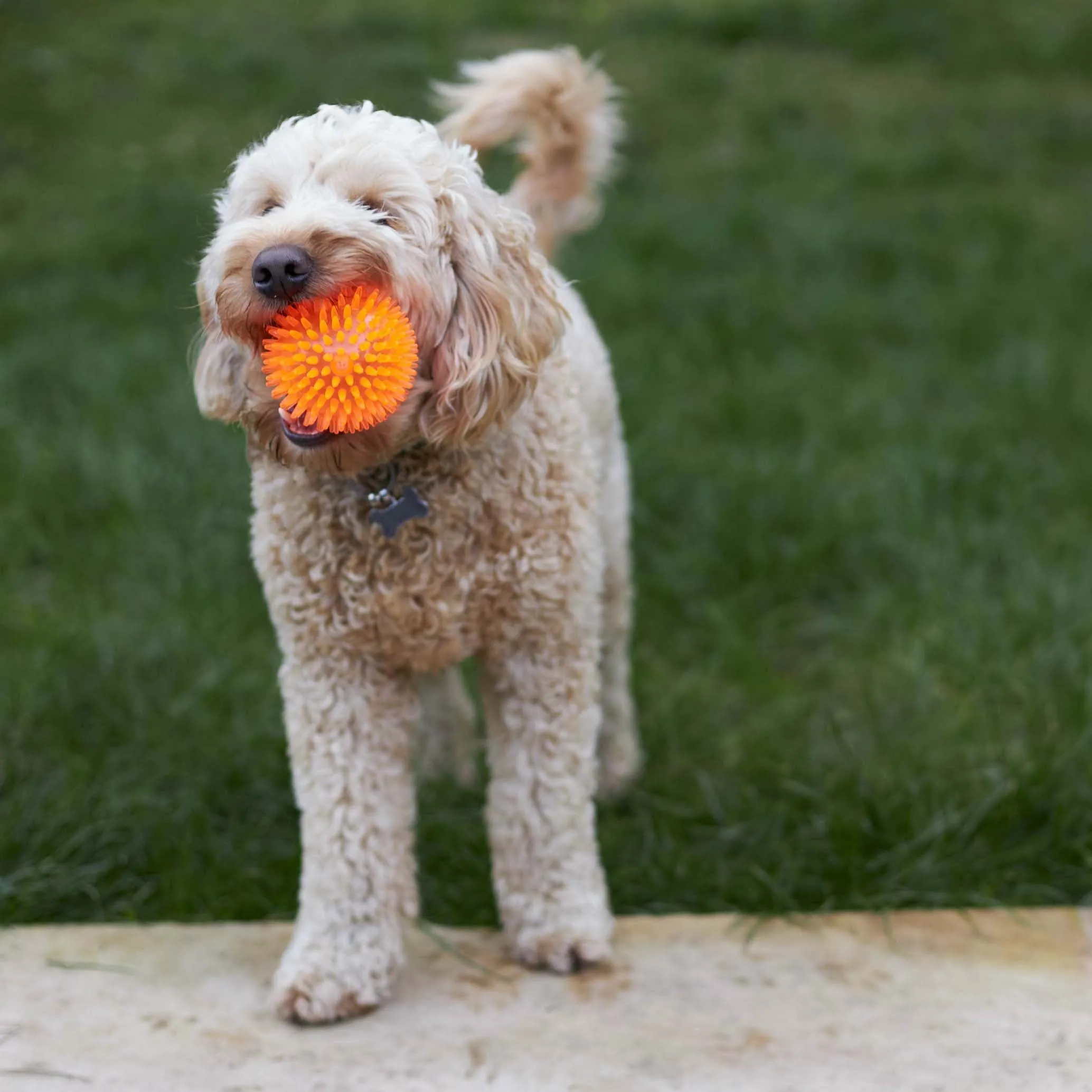 Squeaky Space Balls