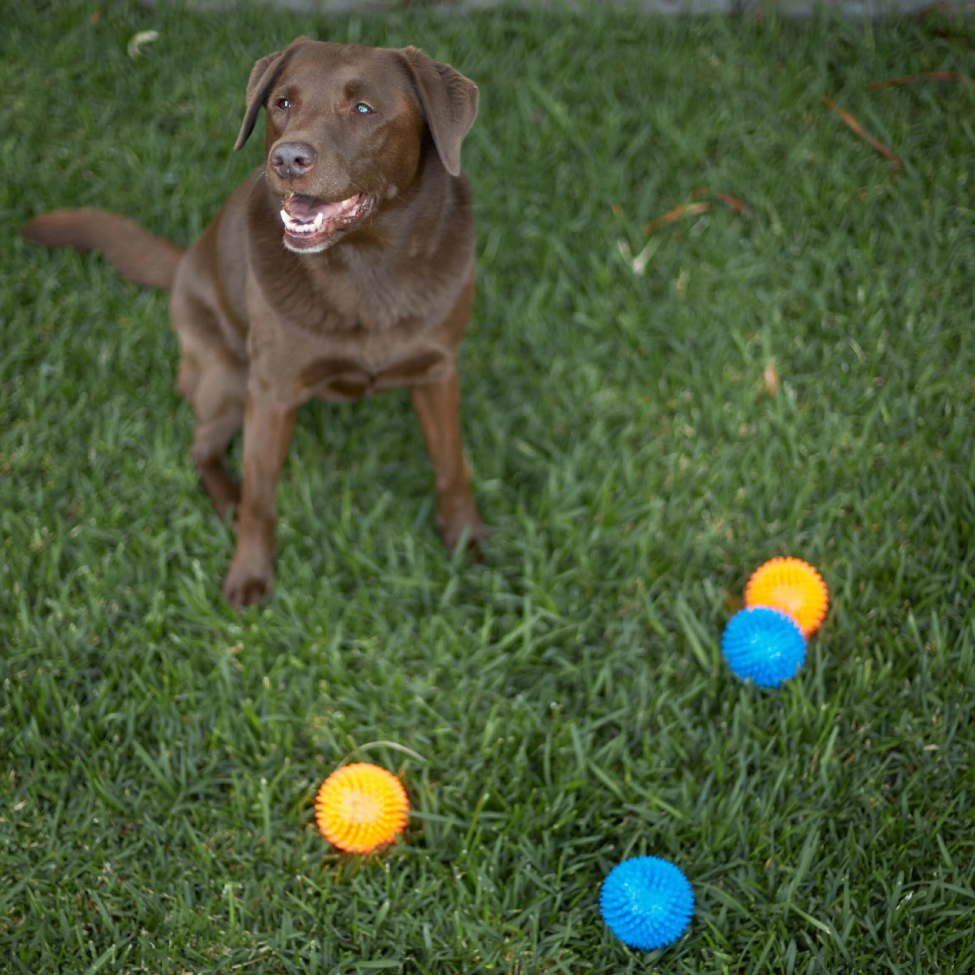 Squeaky Space Balls