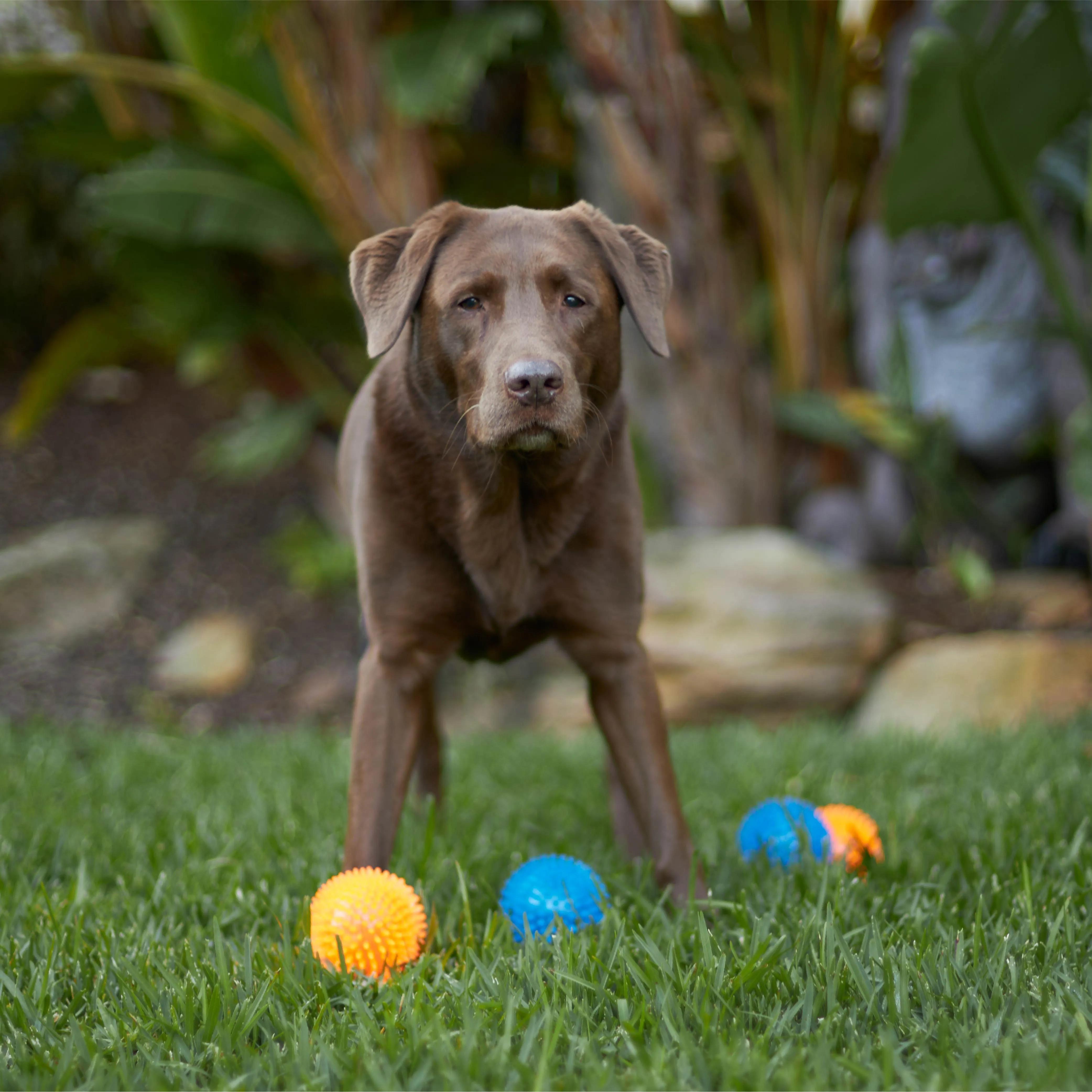 Squeaky Space Balls