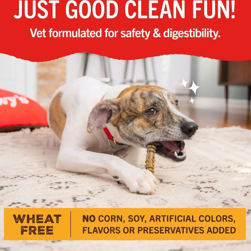 Stella & Chewy's Dental Delights Large Dental Dog Treats