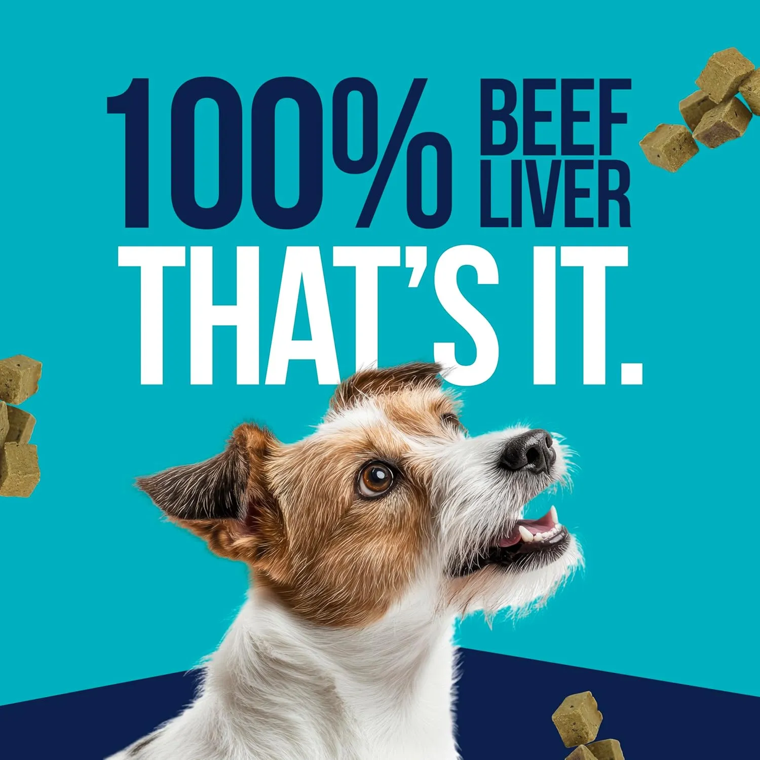 Stewart Freeze Dried Treats 4 oz Beef Liver