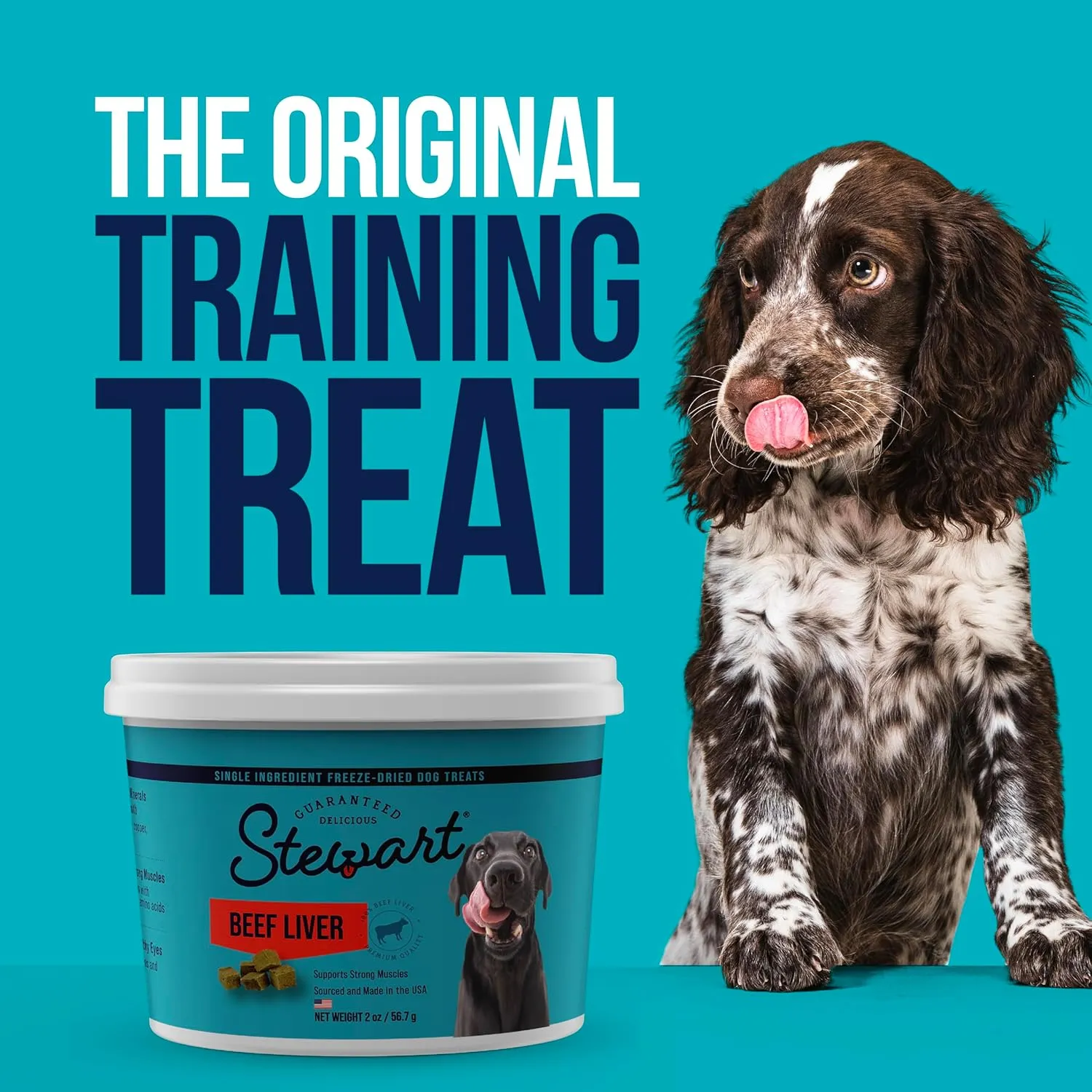 Stewart Freeze Dried Treats 4 oz Beef Liver