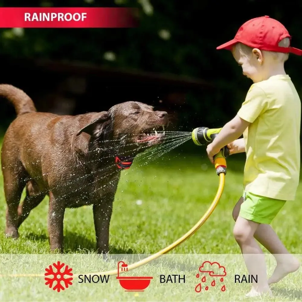 Talis-us Dog Bark Collar - Humane Anti Barking Training Collar - Vibration No Shock Dog Collar