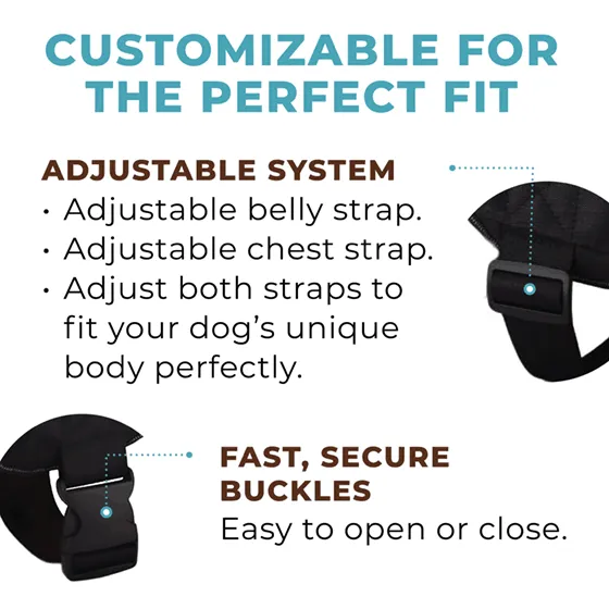 Teal Ocean Joyride Basic Essential Dog Harness 1.0