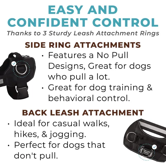 Teal Ocean Joyride Basic Essential Dog Harness 1.0