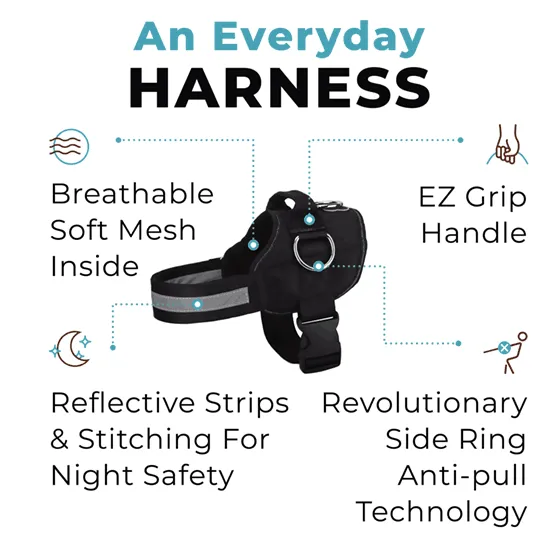 Teal Ocean Joyride Basic Essential Dog Harness 1.0