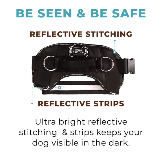 Teal Ocean Joyride Basic Essential Dog Harness 1.0