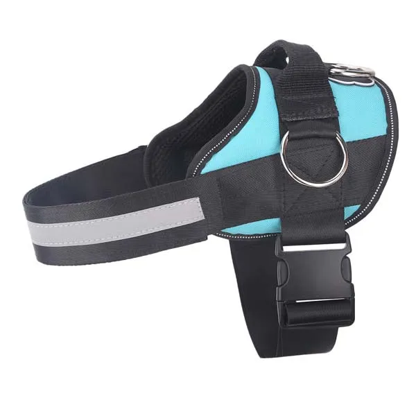Teal Ocean Joyride Basic Essential Dog Harness 1.0