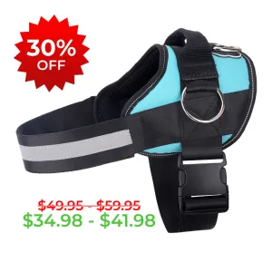 Teal Ocean Joyride Basic Essential Dog Harness 1.0