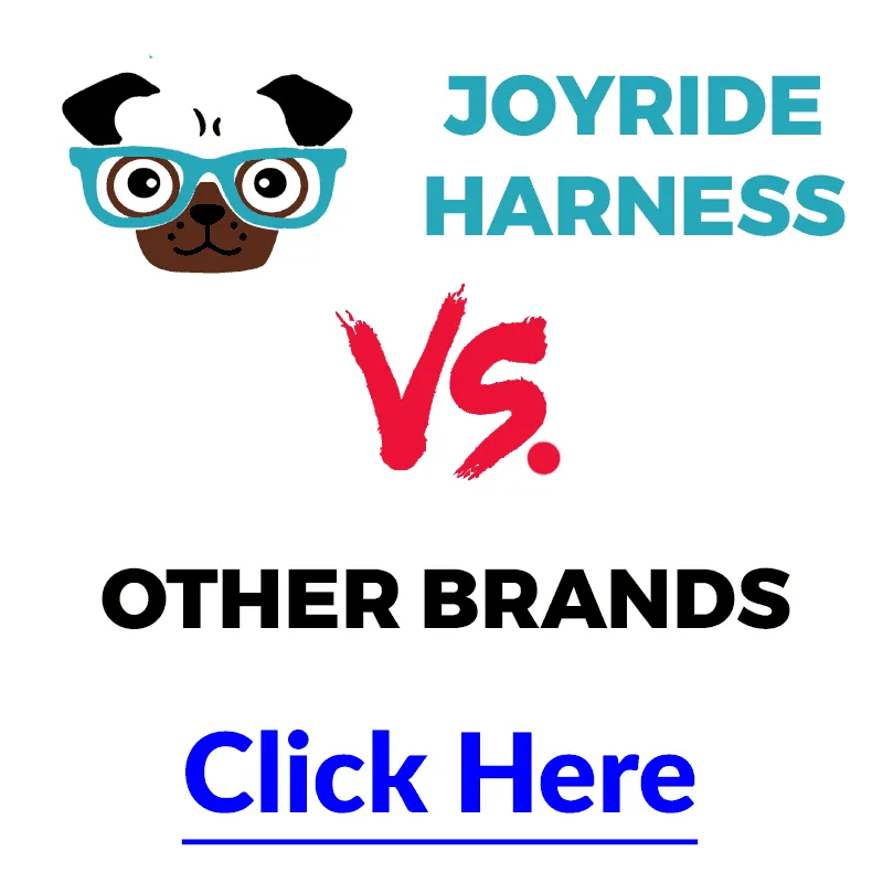 Teal Ocean Joyride Basic Essential Dog Harness 1.0