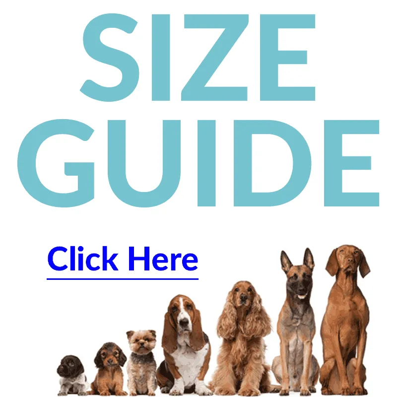 Teal Ocean Joyride Basic Essential Dog Harness 1.0
